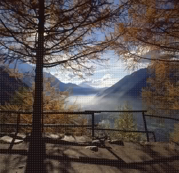 快连下载官方版本指南：最新正版获取方法+详细下载安装教程解析 一