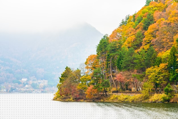 快连下载安装后需要重启吗？详细指南教你快速解决 二